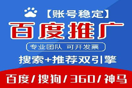 某电商平台的SEM推广实战经验